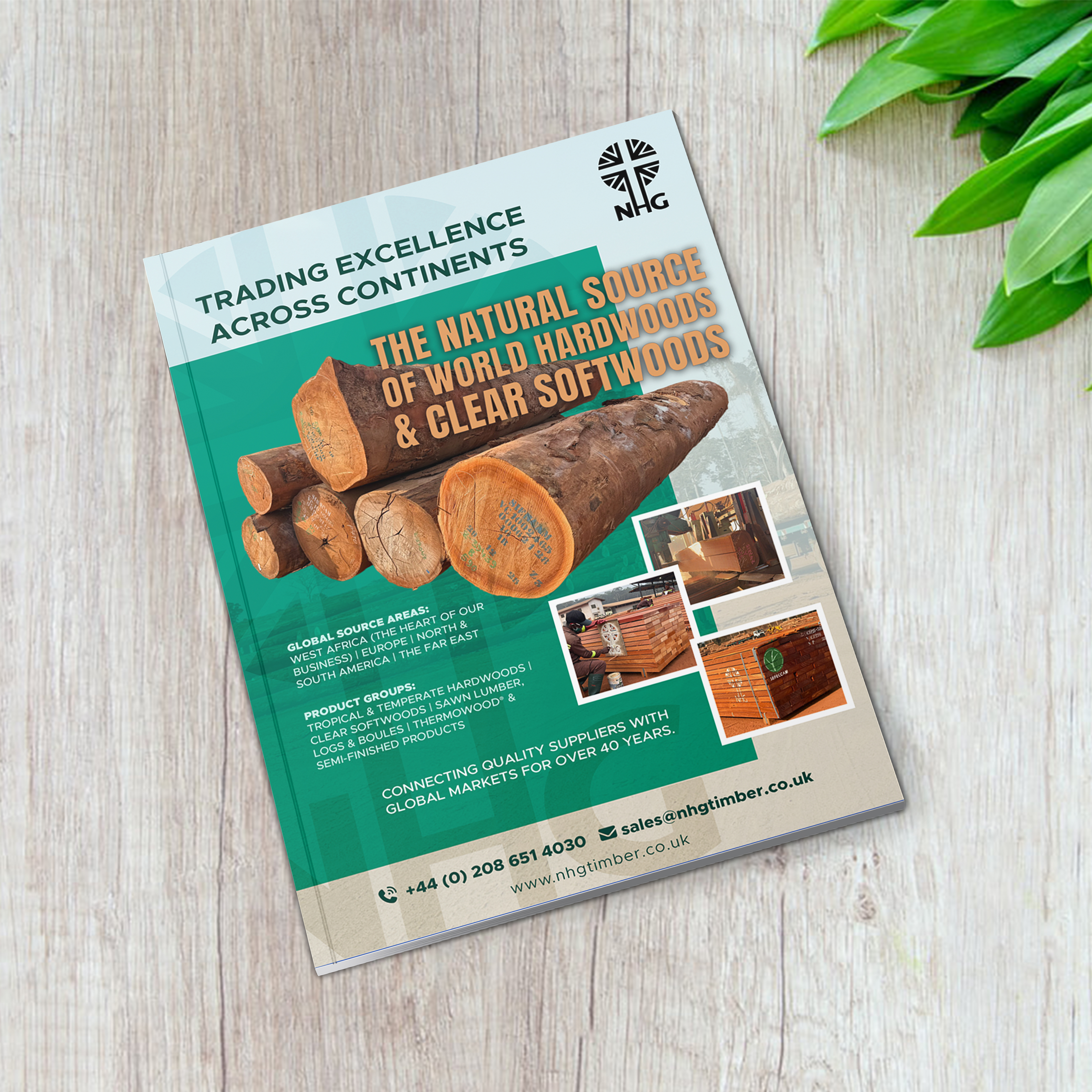 Diseño Publicitario por Vertikus para NHG Timber Ltd | Diseño #36907123