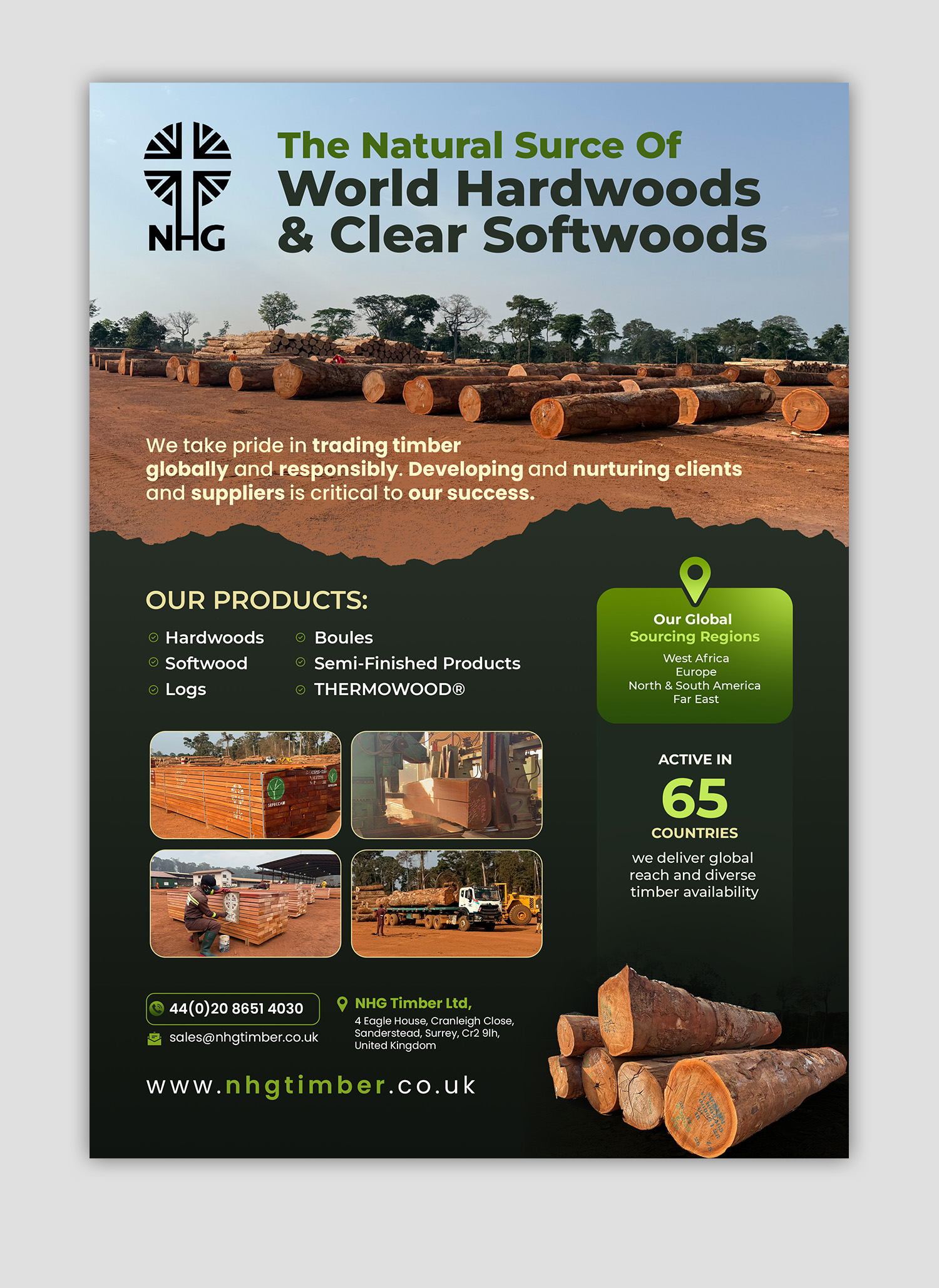 Diseño Publicitario por debdesign para NHG Timber Ltd | Diseño #36907766