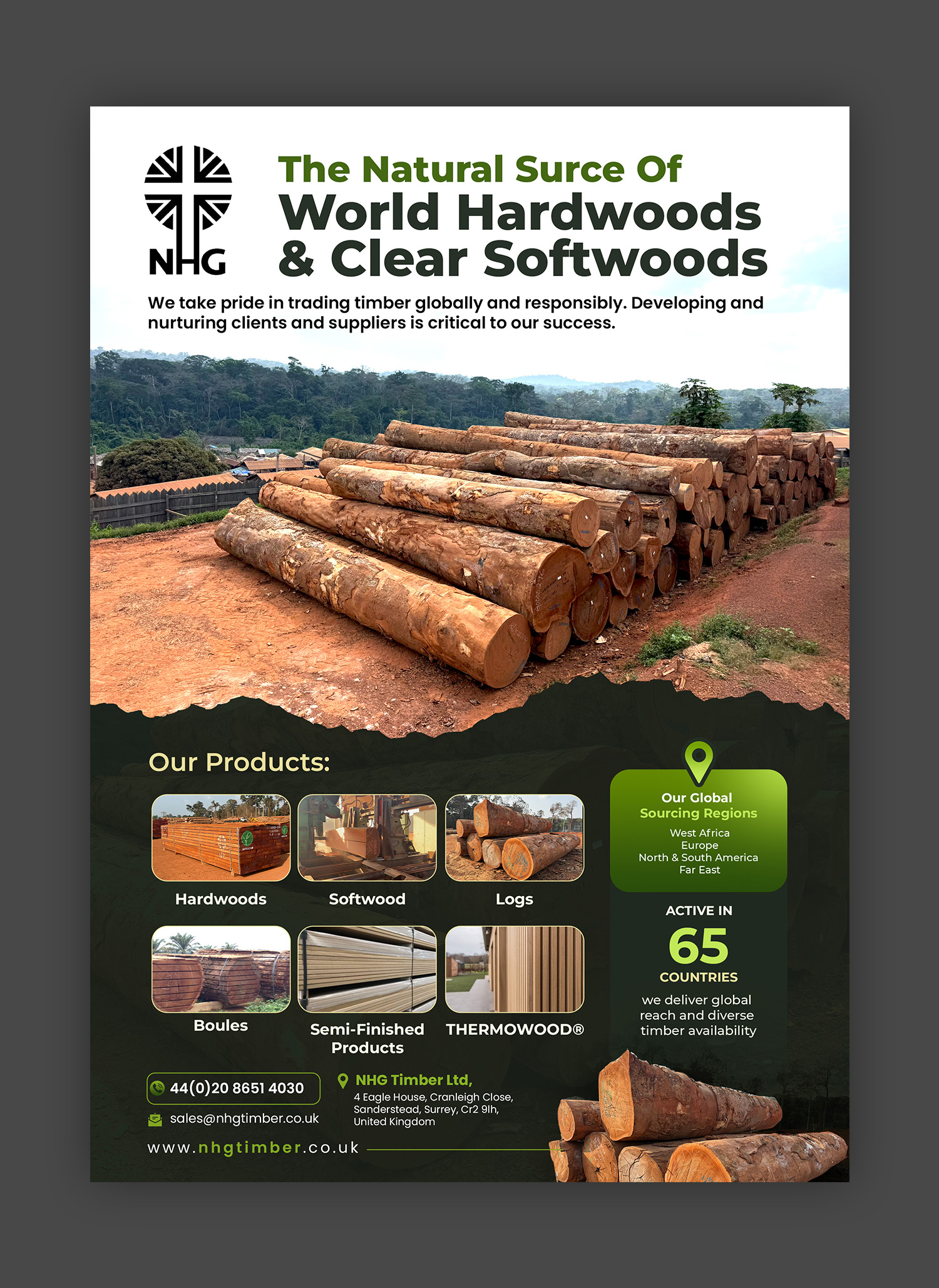 Diseño Publicitario por debdesign para NHG Timber Ltd | Diseño #36907767