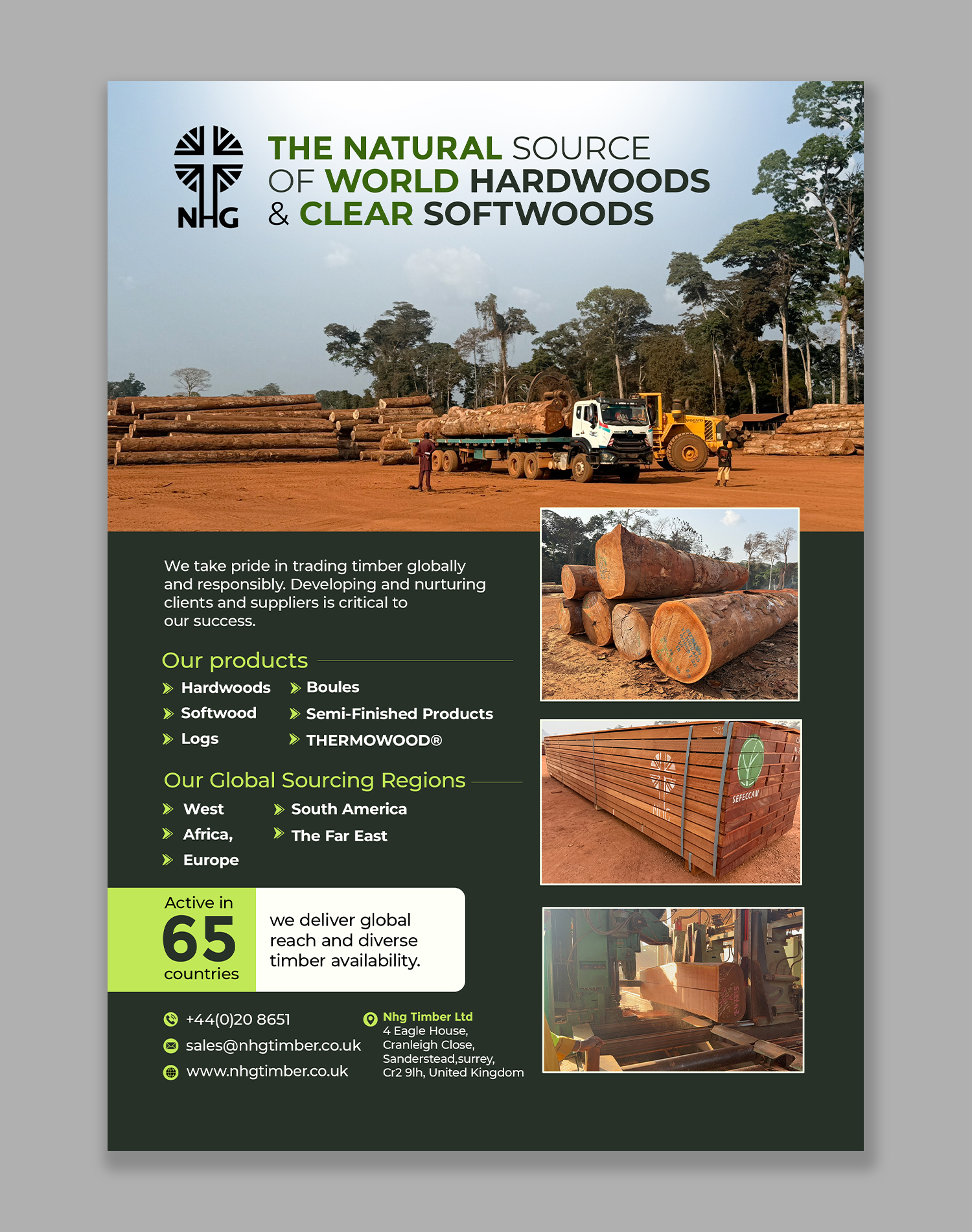 Diseño Publicitario por debdesign para NHG Timber Ltd | Diseño #36907911