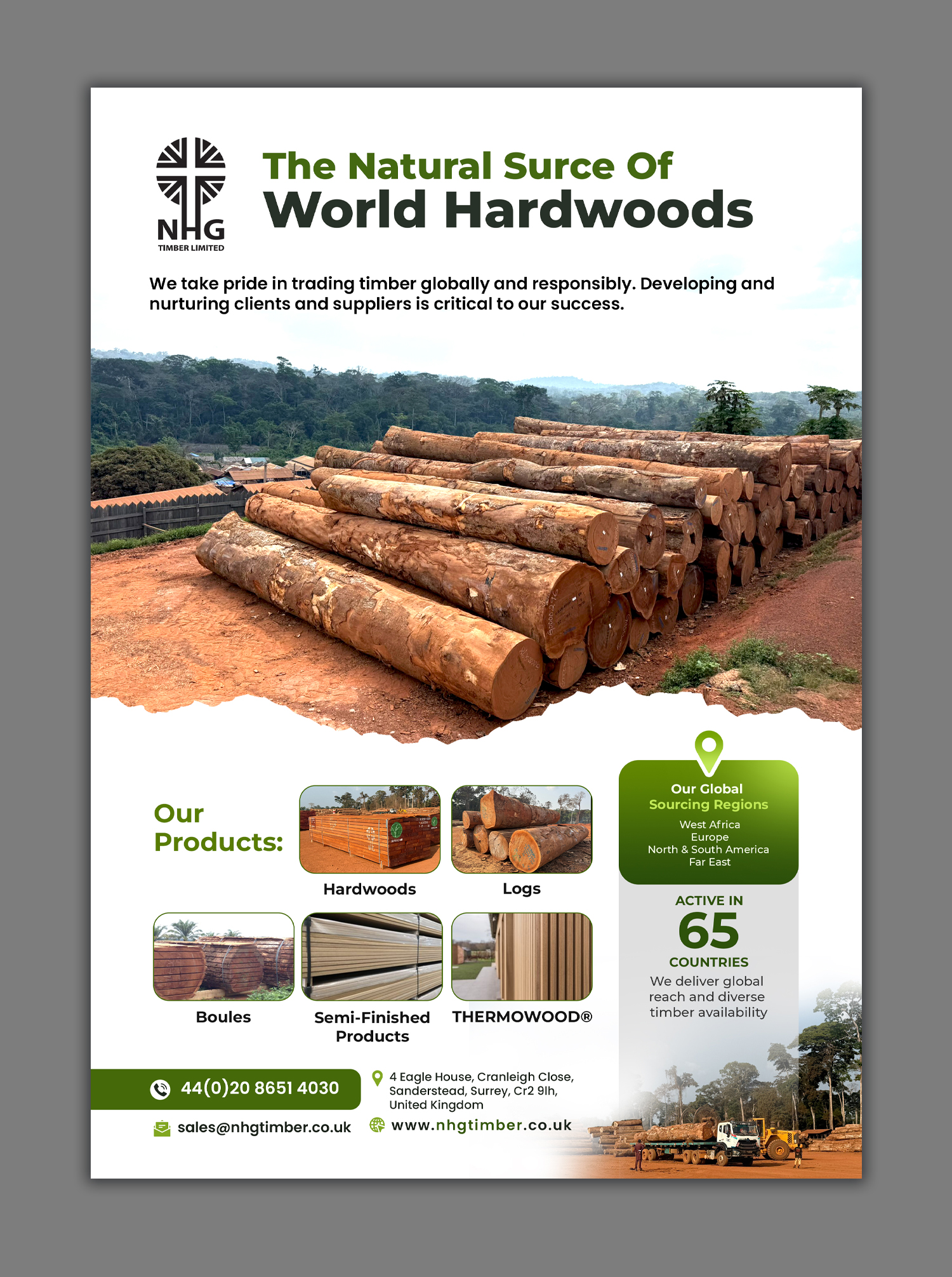 Diseño Publicitario por debdesign para NHG Timber Ltd | Diseño #36927263