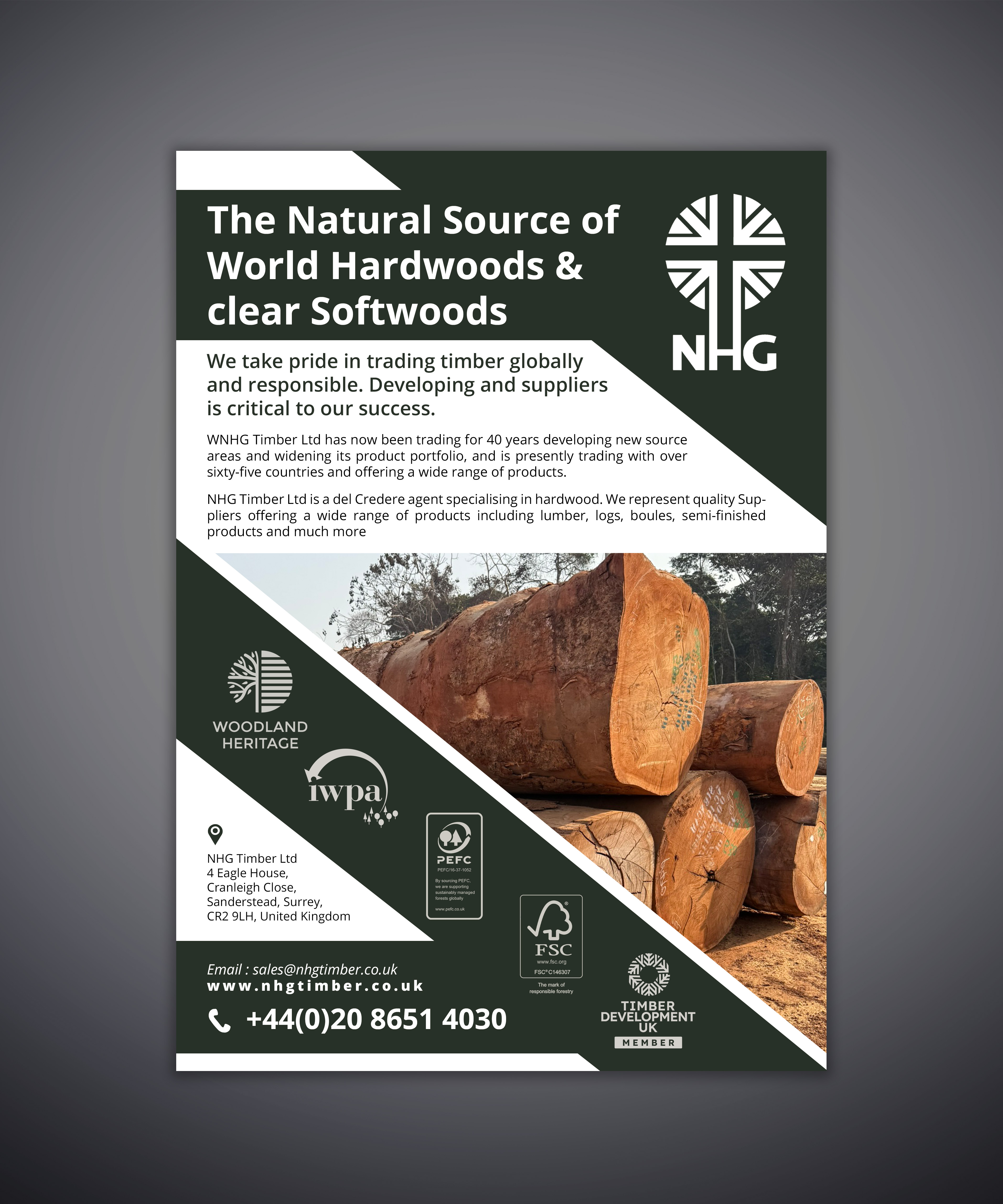 Diseño Publicitario por chandrayaan.creative para NHG Timber Ltd | Diseño #36921309