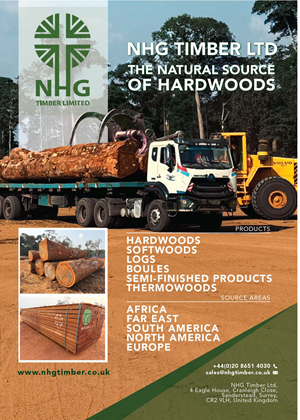 Diseño Publicitario por r. ilham para NHG Timber Ltd | Diseño: #36926989