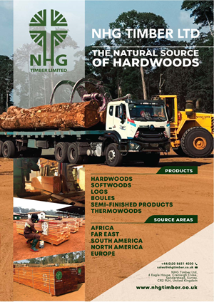 Diseño Publicitario por r. ilham para NHG Timber Ltd | Diseño: #36927469