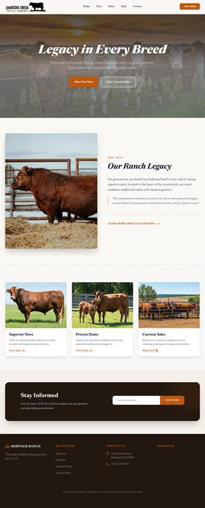 Wordpress Design by Amer Flihan (RBD) for this project | Design #36899968