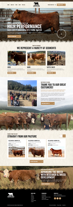 Wordpress Design by IDesign1606 for this project | Design: #36928375