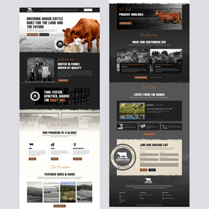 Wordpress Design by IDesign1606 for this project | Design: #36944989