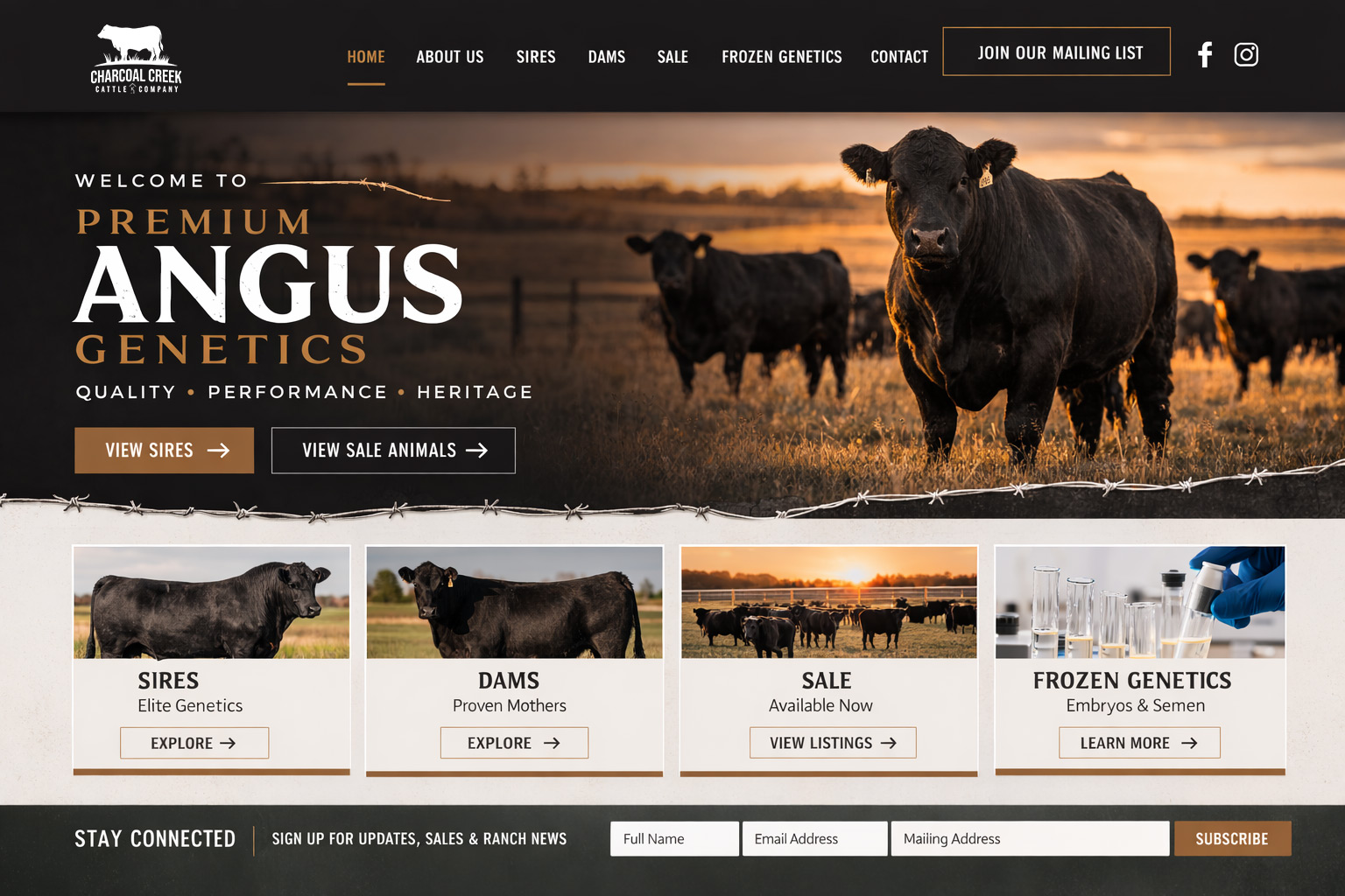 Wordpress Design by Mst. Rima Banu for this project | Design #36993397