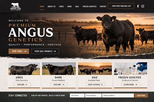 Wordpress Design by Mst. Rima Banu