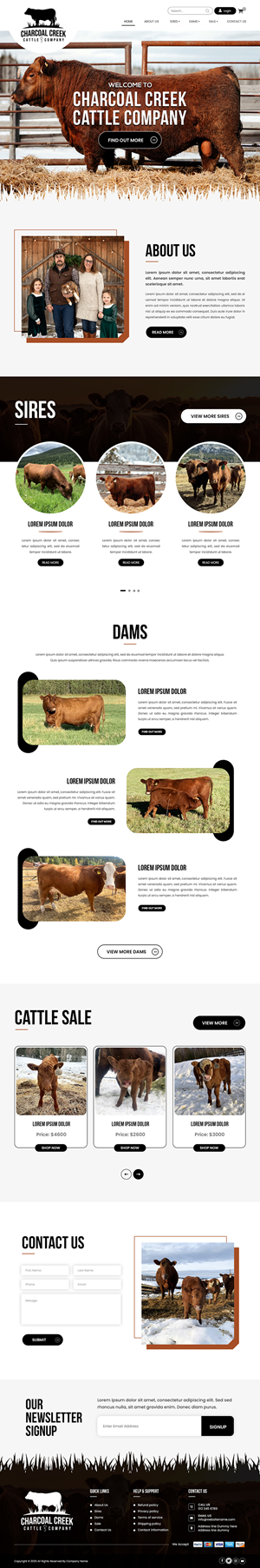 Wordpress Design by Creations Box 2015