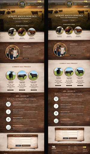 Wordpress Design by vedverma1984 for this project | Design #36925572