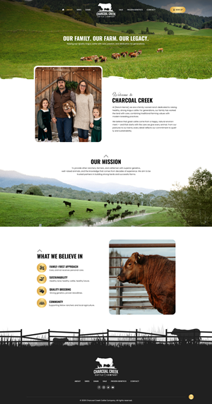 Wordpress Design by NZ Creatives for this project | Design: #36901674