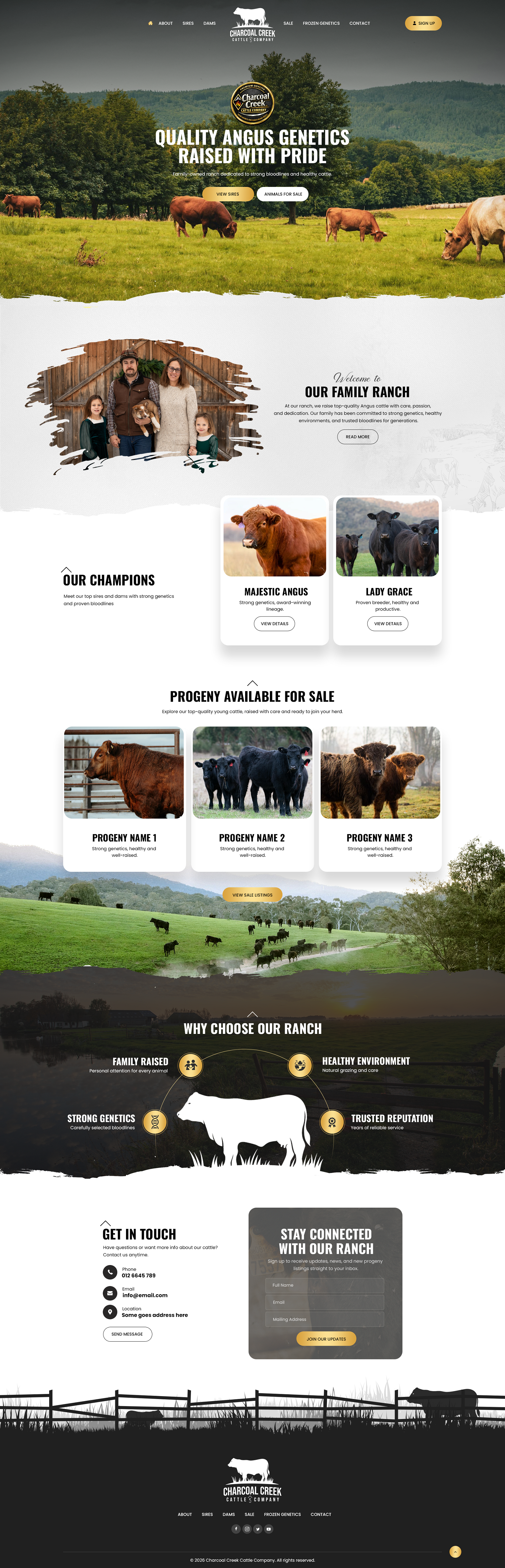 Wordpress Design by NZ Creatives for this project | Design #36901675