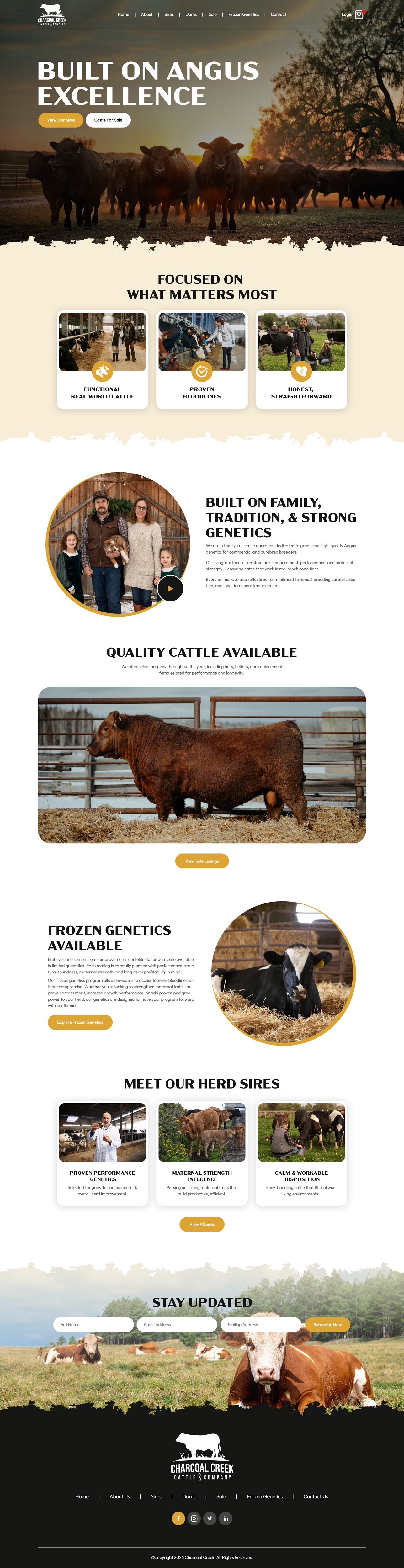 Wordpress Design by NZ Creatives for this project | Design #36901681