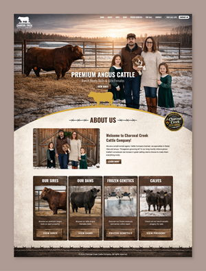 Wordpress Design by Titan Solbiz for this project | Design: #36900203