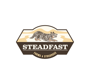 Logo Design by Onse Officials