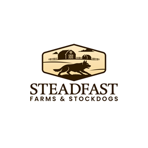 Logo Design by Aljune Castro Designs