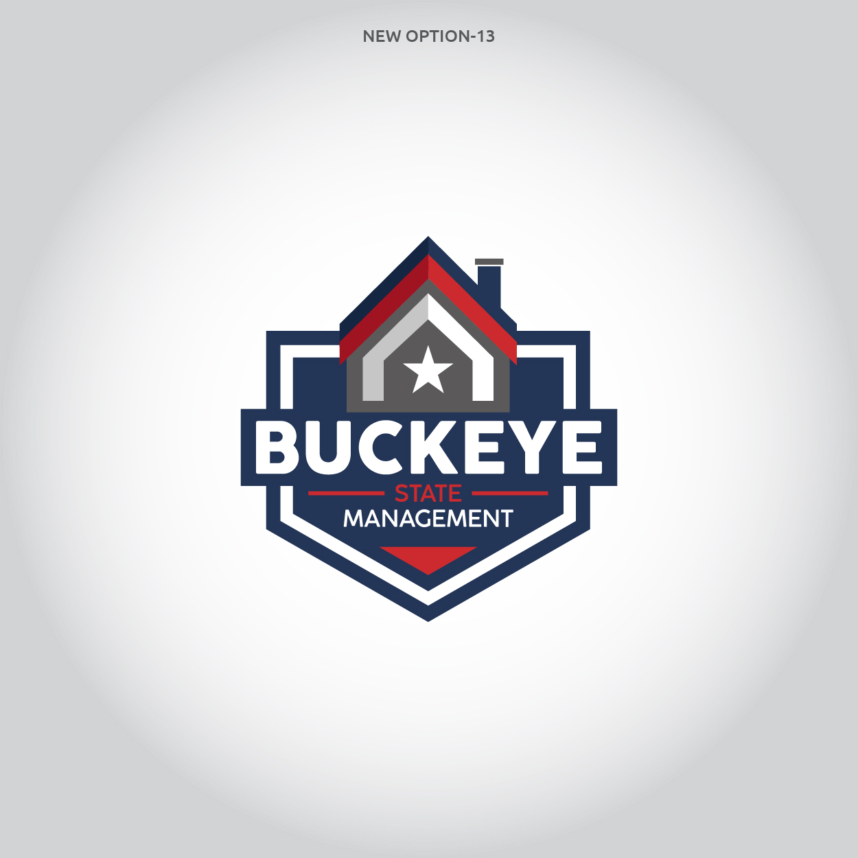 Logo Design by highmaxlogodesigns for Buckeye State Management | Design #36956177