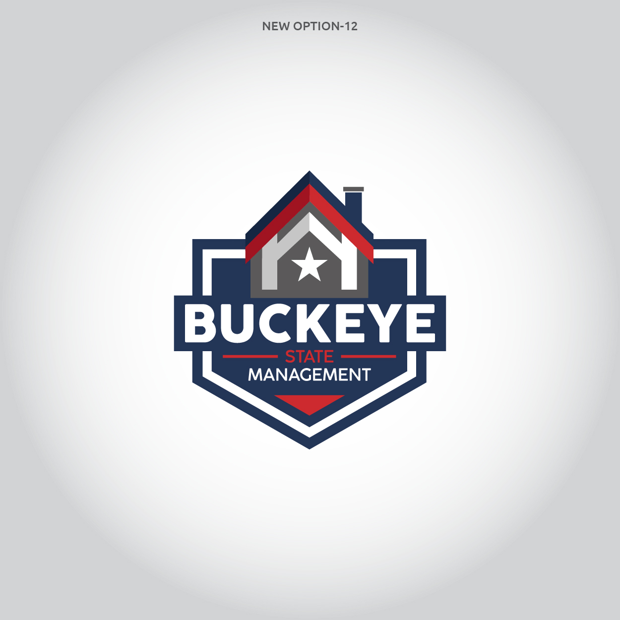 Logo Design by highmaxlogodesigns for Buckeye State Management | Design #36956178