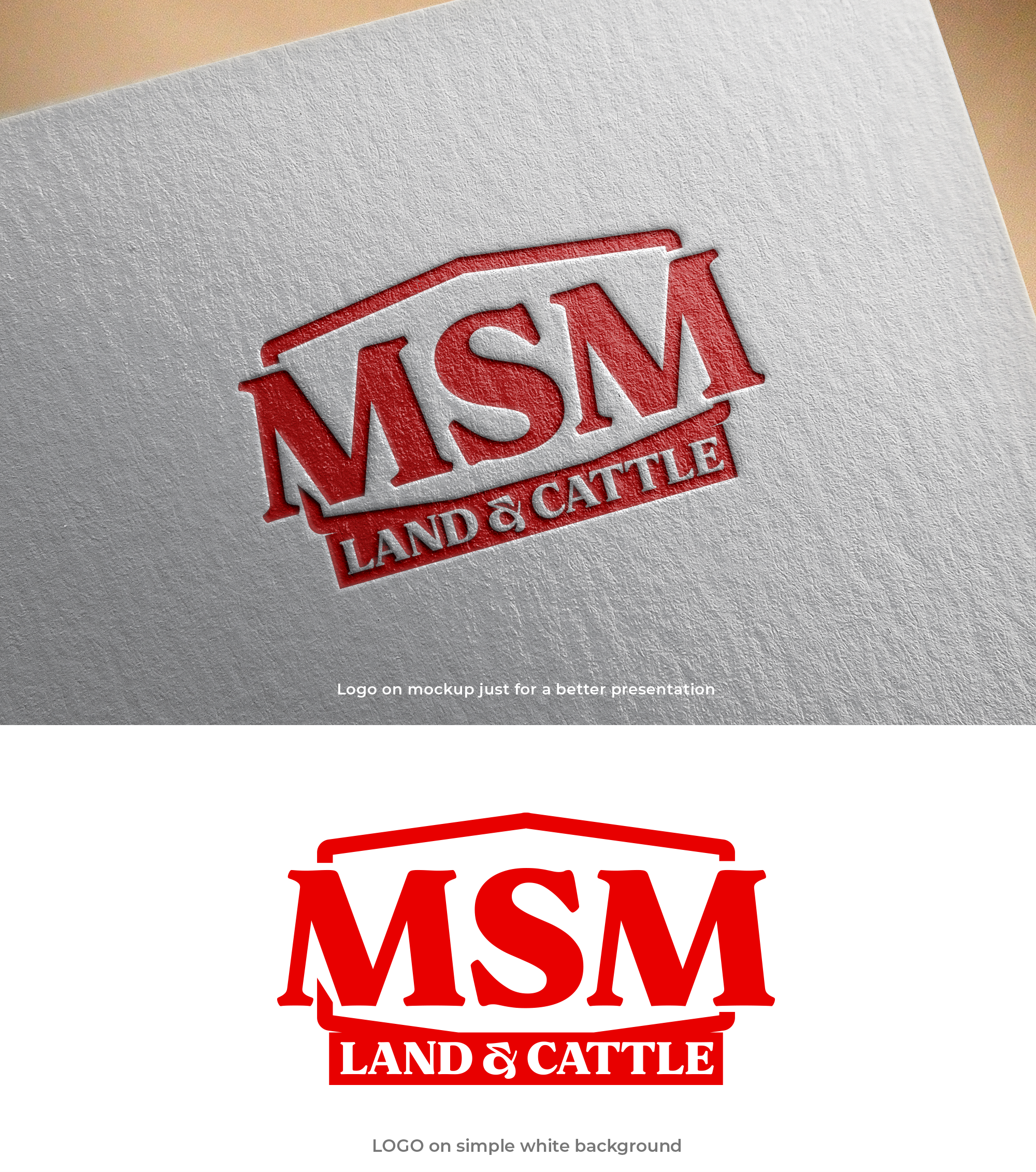 Logo Design by Asad Shaikh for this project | Design #36916020