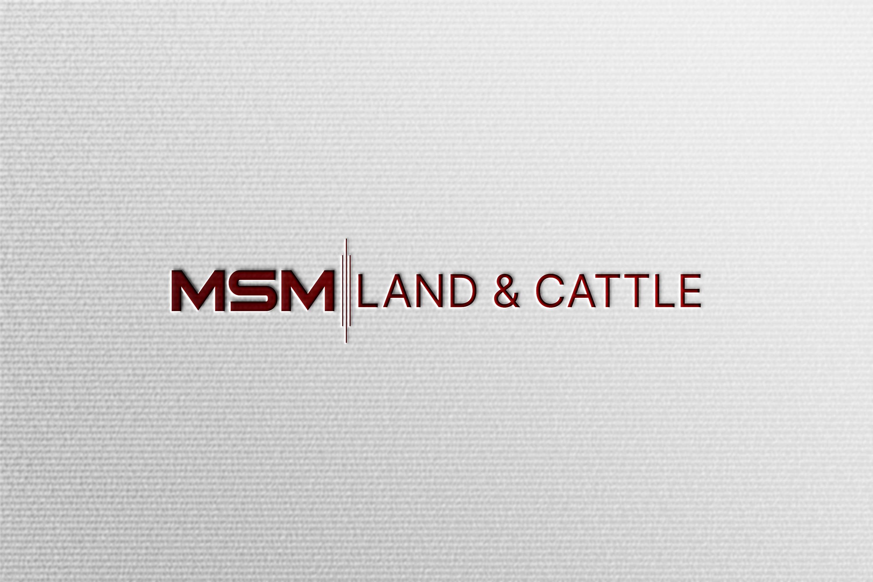 Design de Logo par HaveTake pour ce projet | Design #36921088