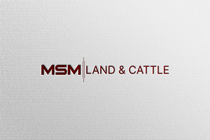 Logo Design by HaveTake