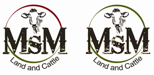 Diseño de Logo por susan t. para este proyecto | Diseño: #36946859