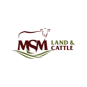 Diseño de Logo por prodesigns99 para este proyecto | Diseño: #36918336