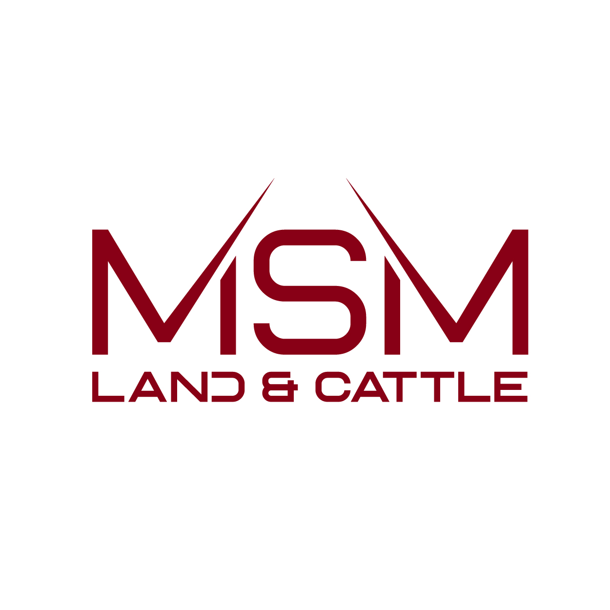 Logo Design by ahmeddesigner123 for this project | Design #36918890