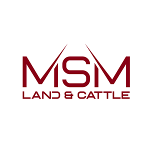 Logo Design by ahmeddesigner123 for this project | Design: #36918890