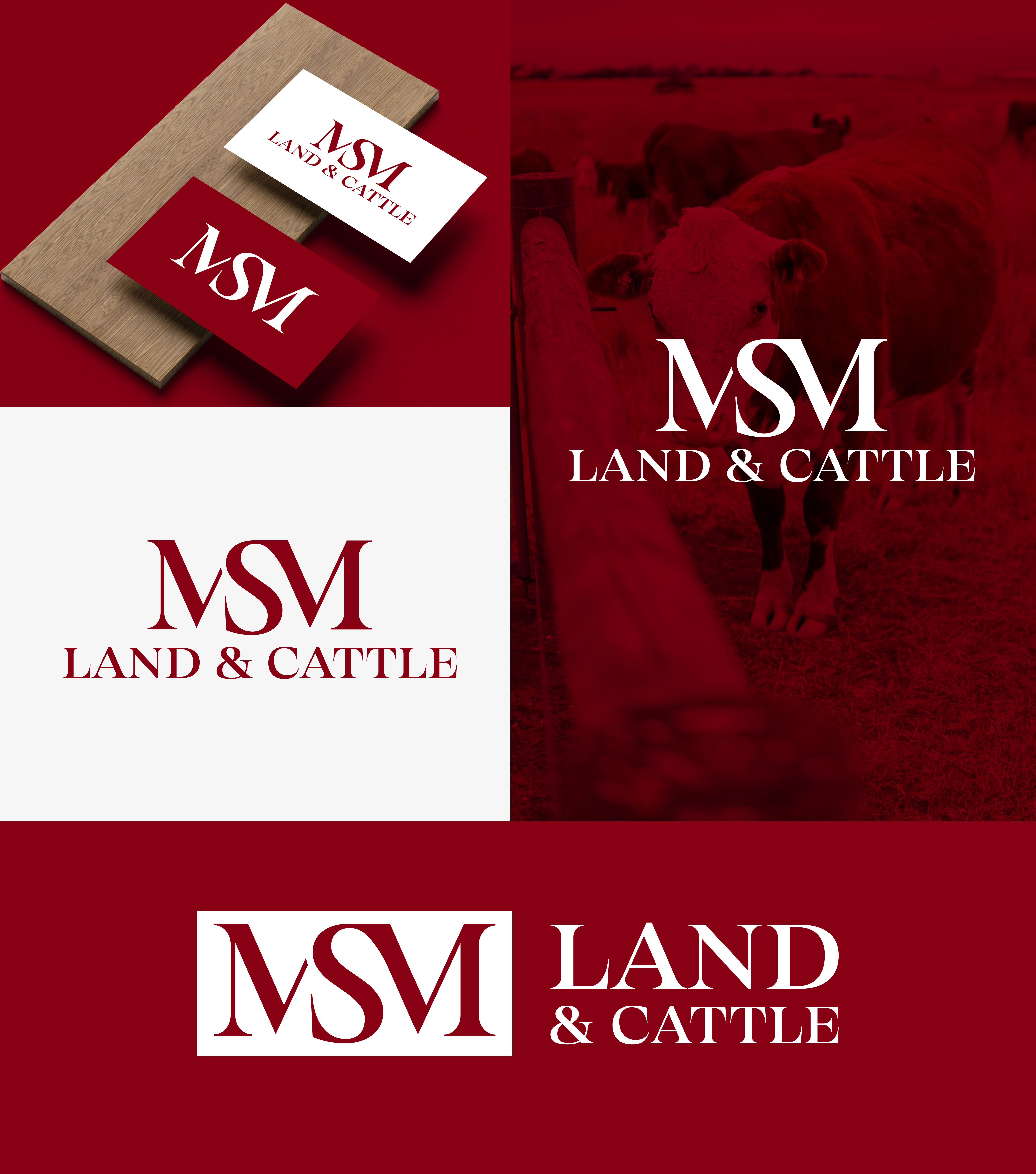 Logo Design by aexoagency for this project | Design #36913922