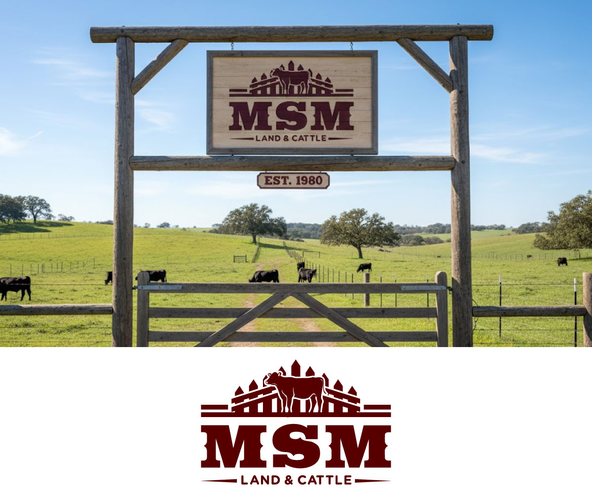 Logo Design by Ansh Design for this project | Design #36913454