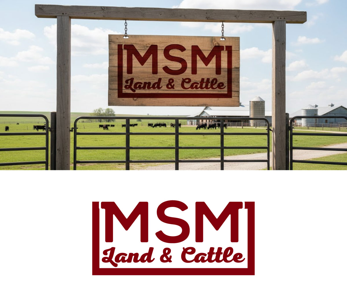 Logo Design by Ansh Design for this project | Design #36913455