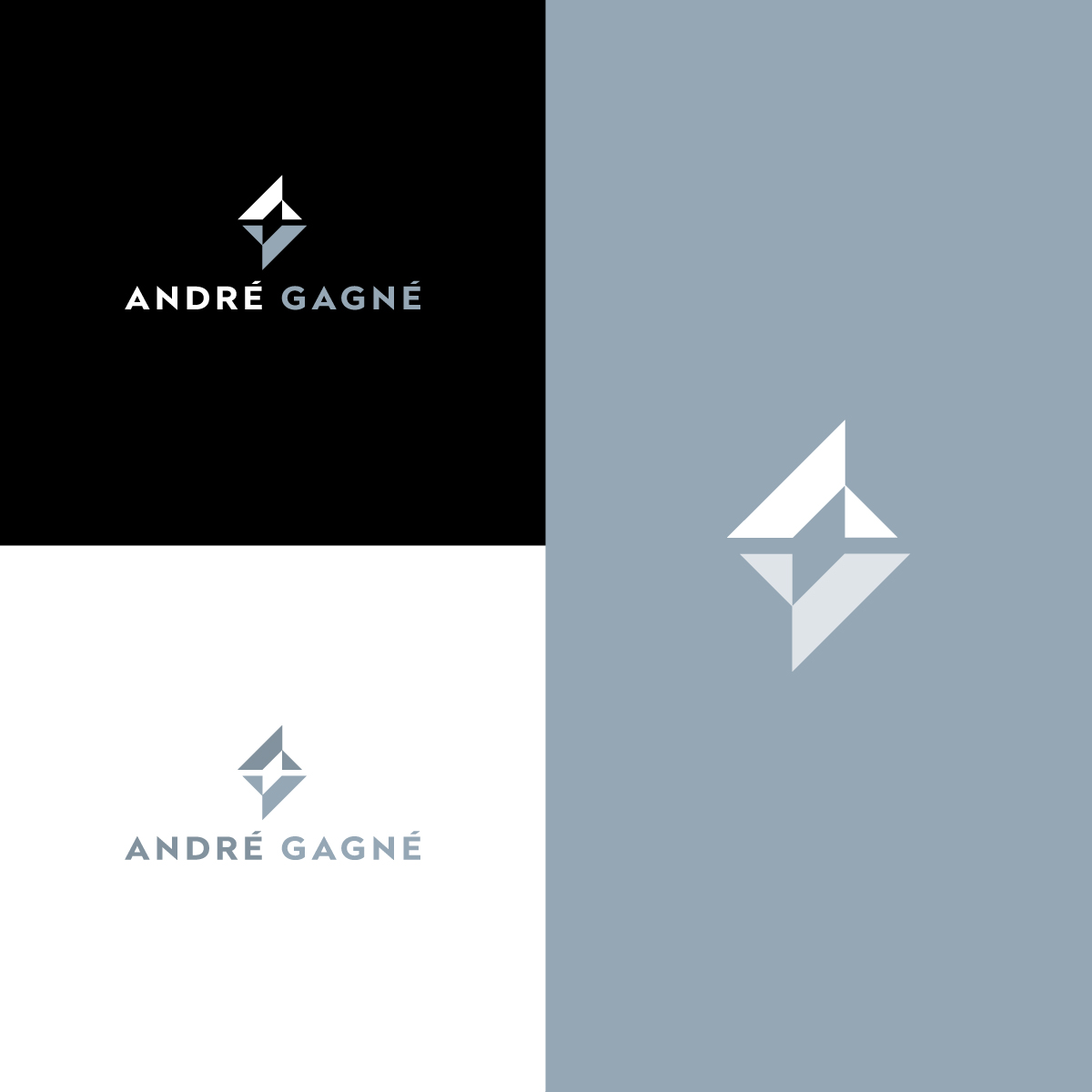 Diseño de Logo por anonrotide para este proyecto | Diseño #36954820