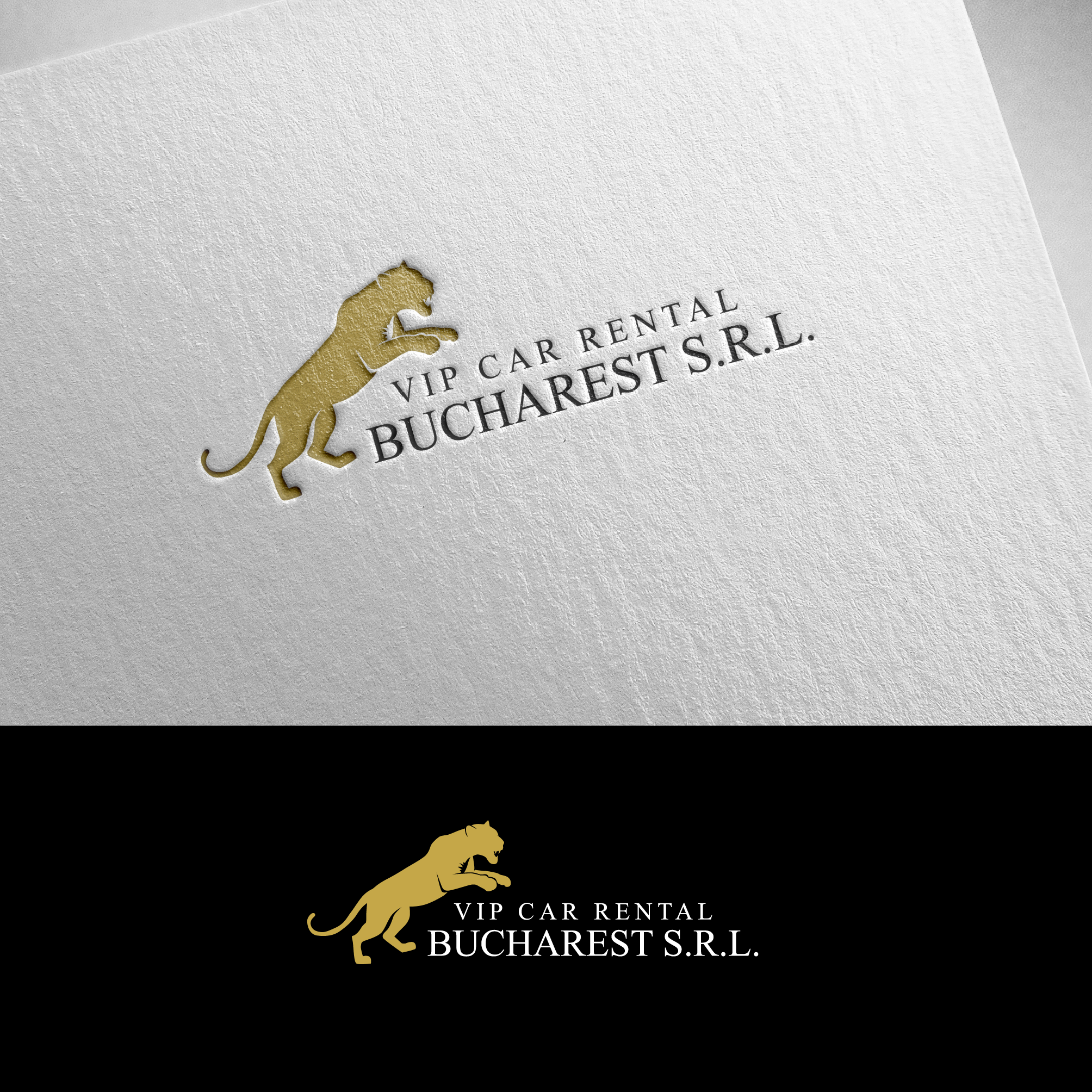 Logo Design by alzac for this project | Design #36924927