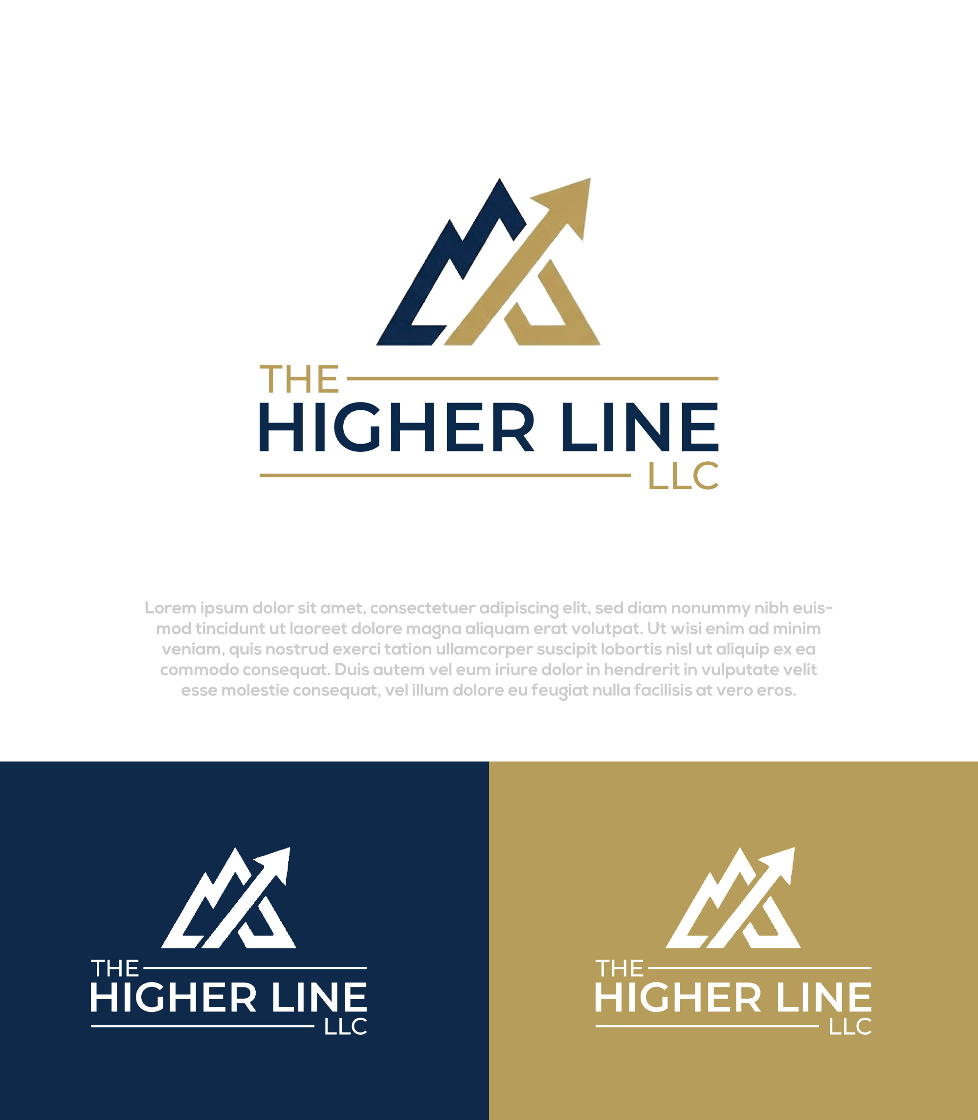 Logo Design by Pilot_DesignR™ for this project | Design #36921911