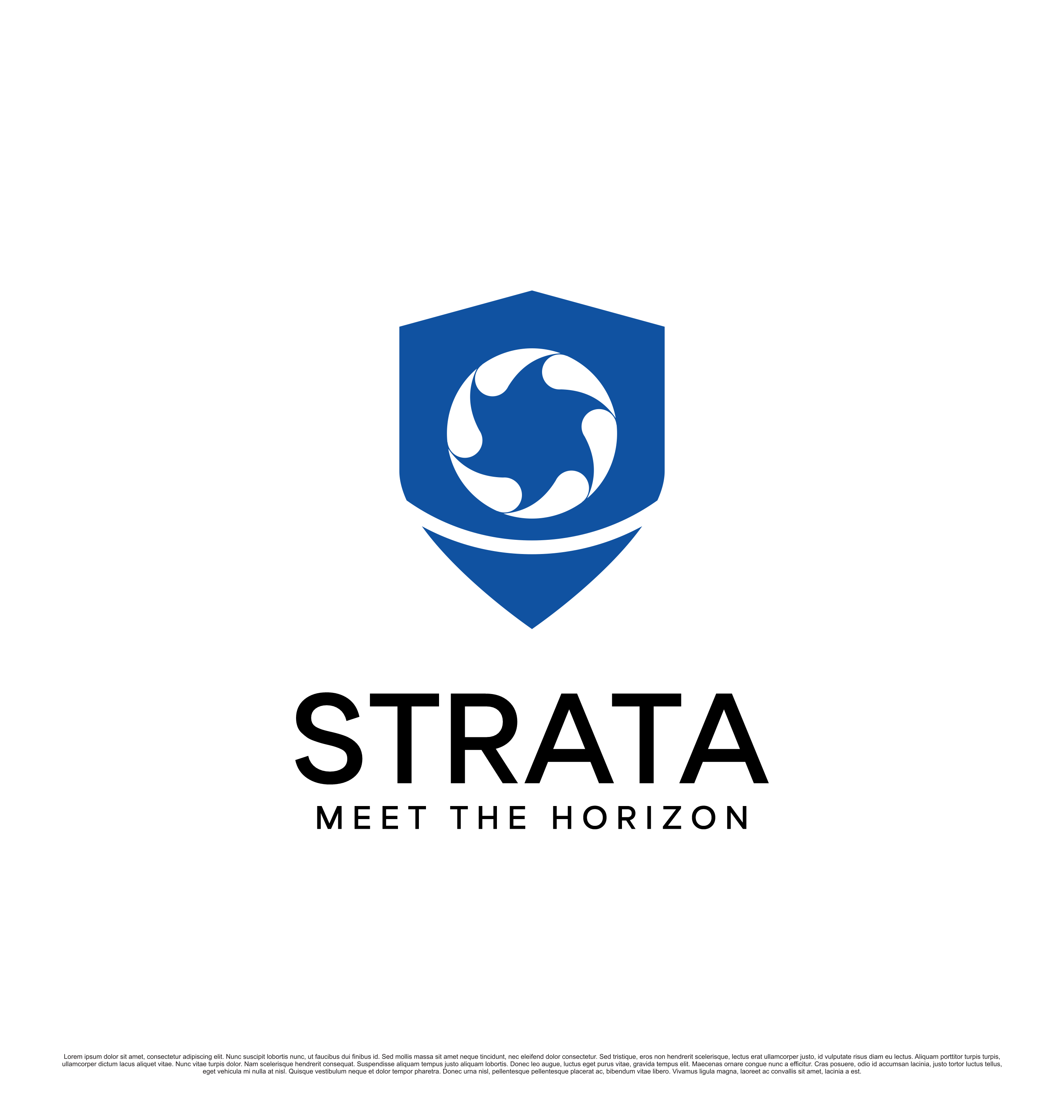 Logo Design by saesean for Ellipse Security, Inc. | Design #36932095