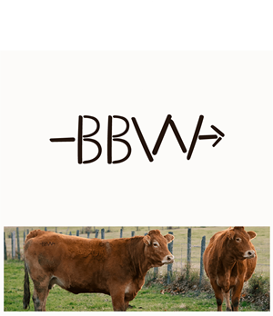 Diseño de Logo por Pauli42 para este proyecto | Diseño: #36965518