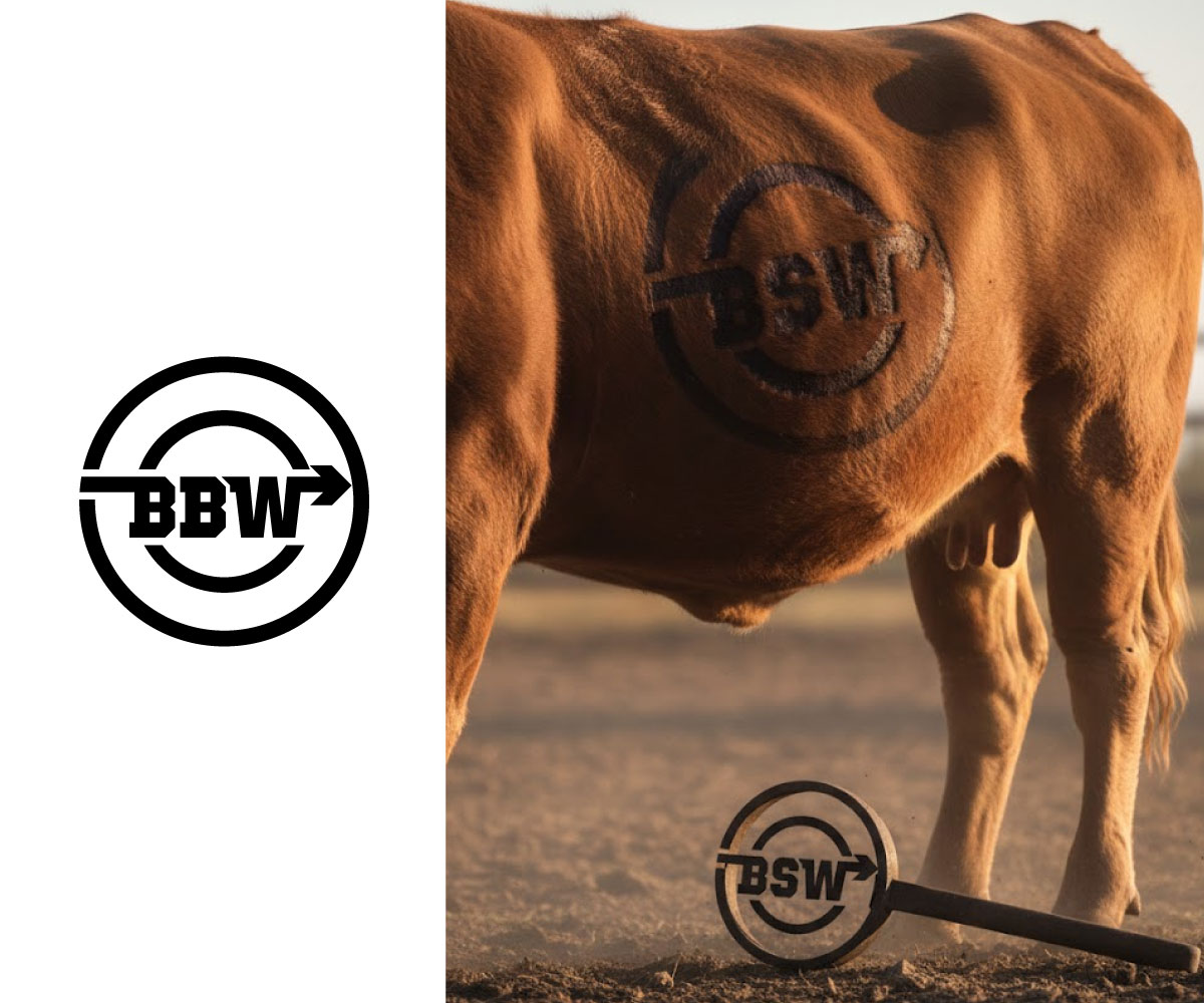 Logo Design by Ansh Design for this project | Design #36932956