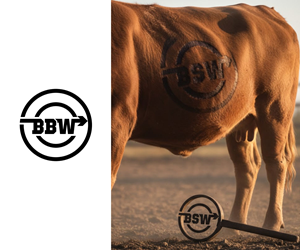 Logo-Design von Ansh Design für dieses Projekt | Design: #36932956