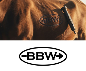 Logo-Design von Ansh Design für dieses Projekt | Design: #36932957