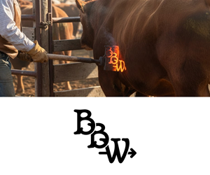 Logo-Design von Ansh Design für dieses Projekt | Design: #36932962