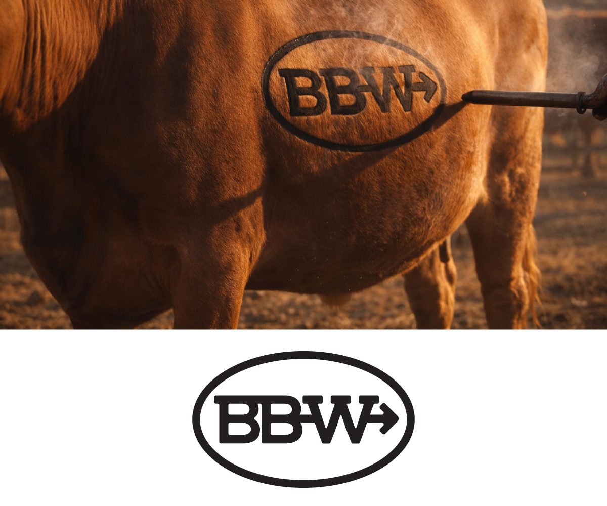 Logo-Design von Ansh Design für dieses Projekt | Design #36932964