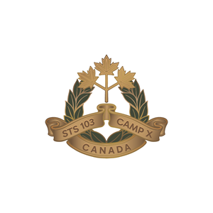 Diseño de Logo por Jerwin Intac para Tier1Consult | Diseño: #36937140