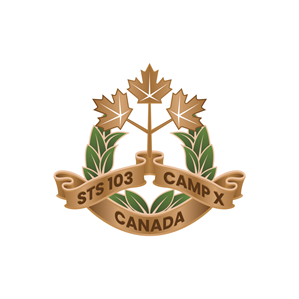 Logo Design by Aljune Castro Designs for Tier1Consult | Design #36940135