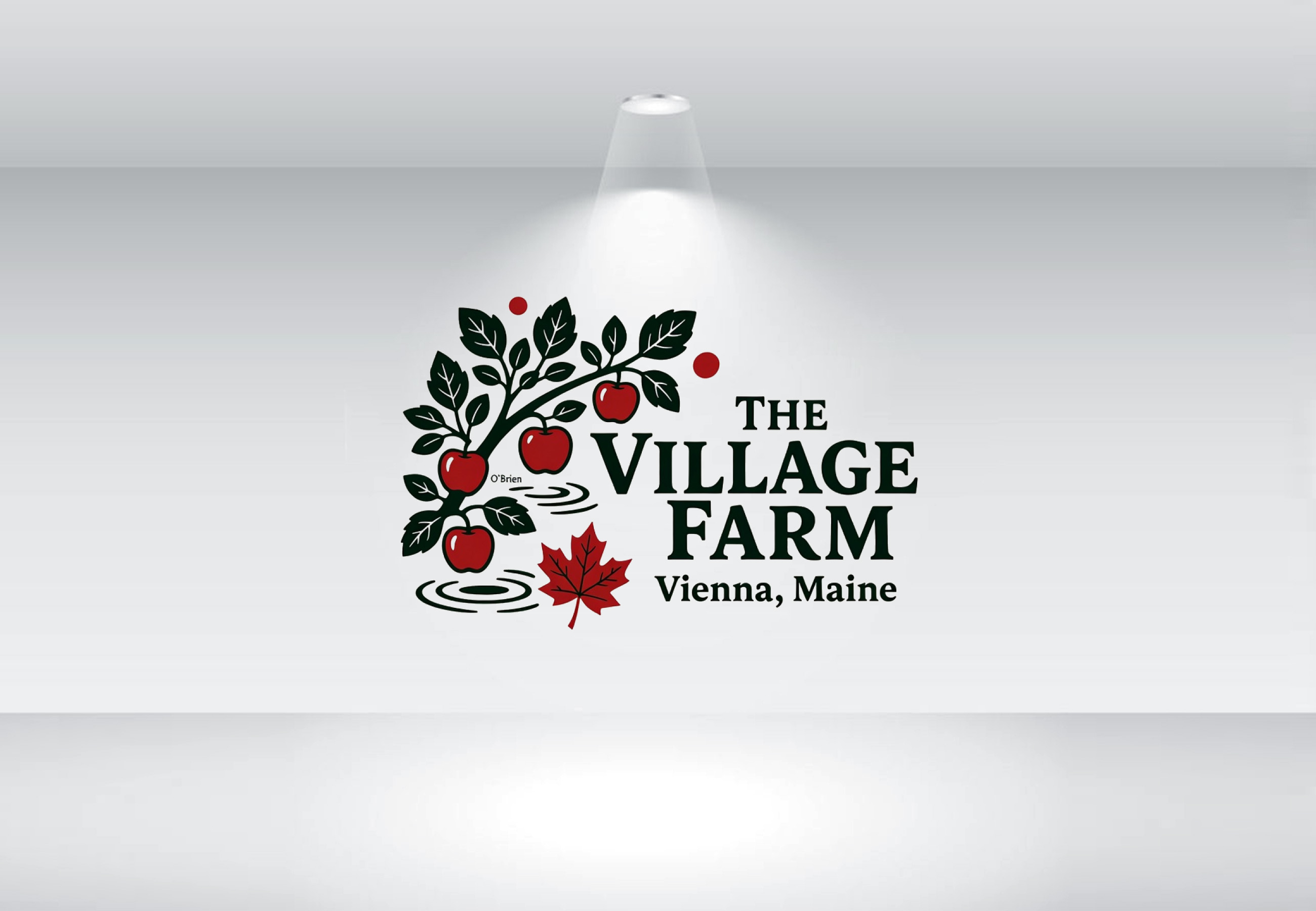 Logo Design by Nova Creative Designs for this project | Design #36949648