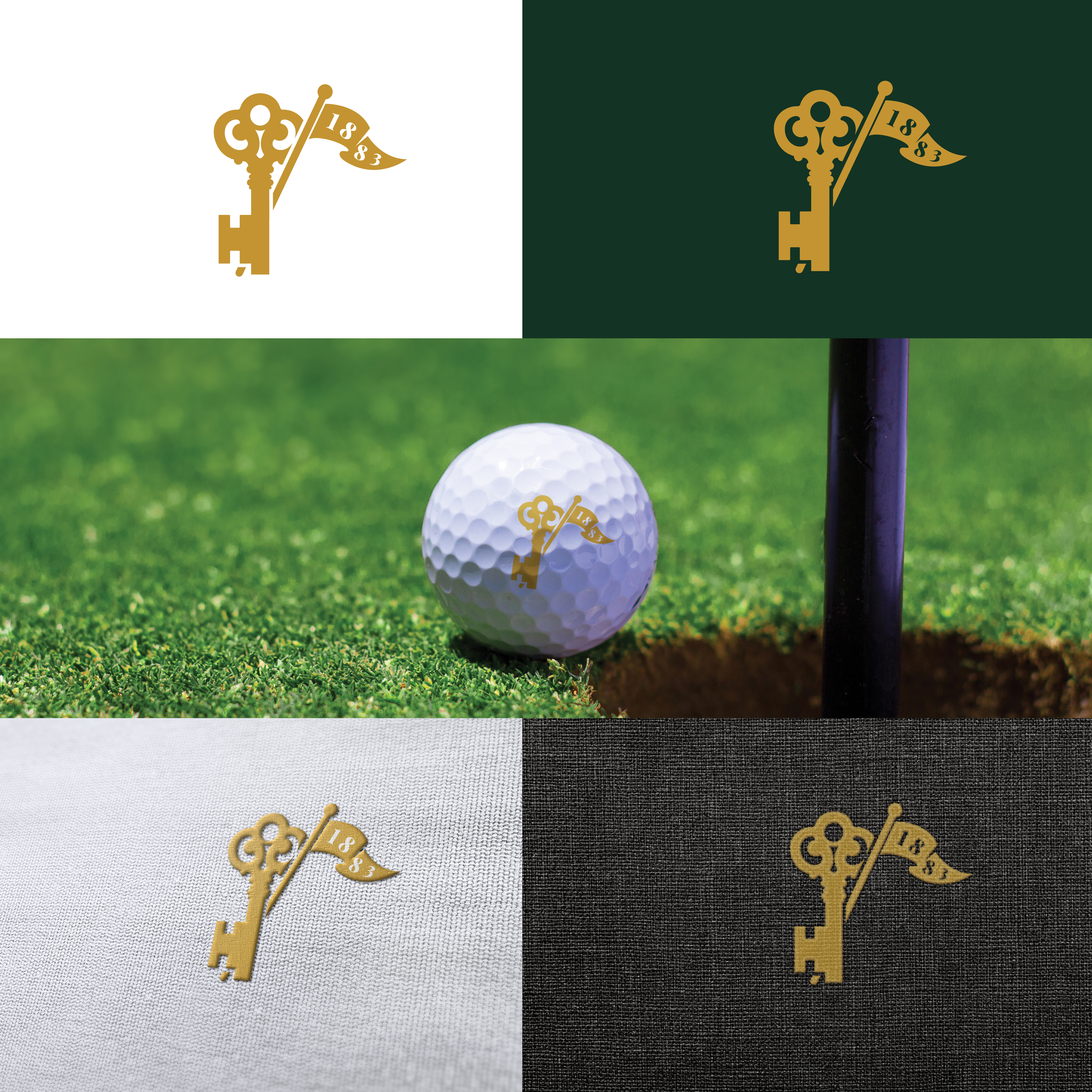 Diseño de Logo por razertron para este proyecto | Diseño #37018427