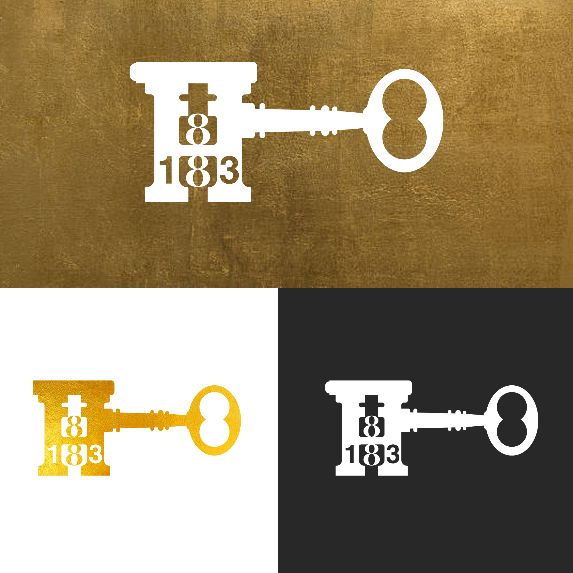 Diseño de Logo por CDS Creative para este proyecto | Diseño #36959621