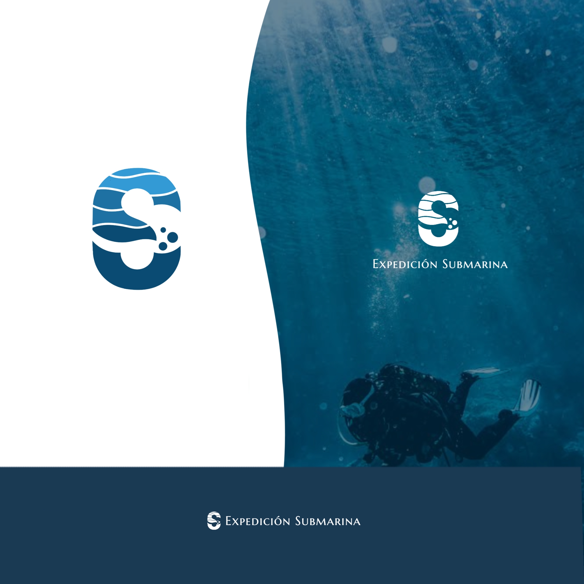 Logo Design by parasaa for this project | Design #36976606