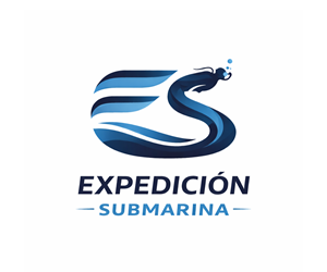 Logo Design by Nuvix